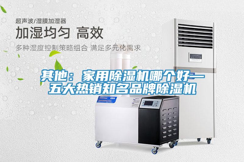 其他：家用除濕機(jī)哪個好—五大熱銷知名品牌除濕機(jī)