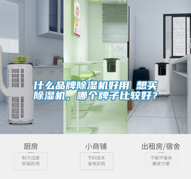 什么品牌除濕機好用 想買除濕機，哪個牌子比較好？