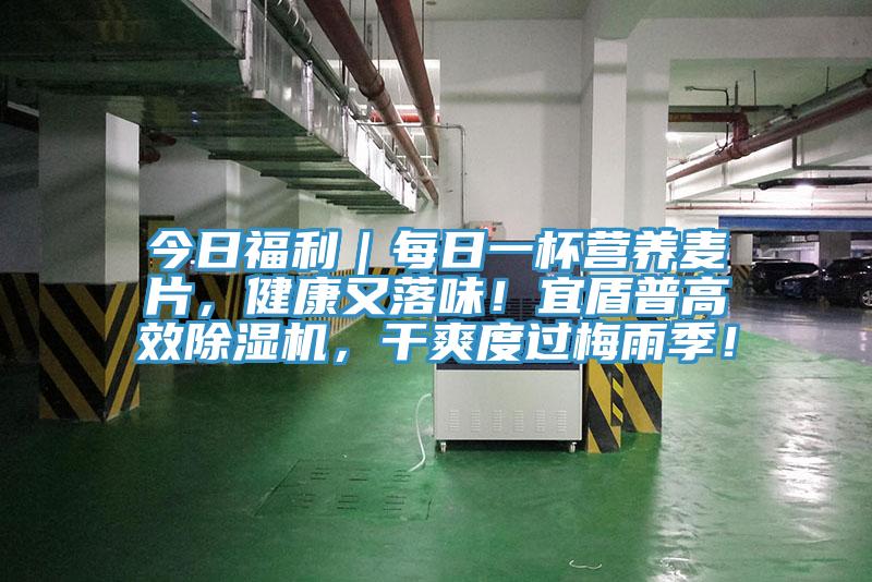 今日福利｜每日一杯營(yíng)養(yǎng)麥片，健康又落味！宜盾普高效除濕機(jī)，干爽度過(guò)梅雨季！