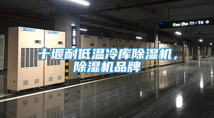 十堰耐低溫冷庫除濕機，除濕機品牌