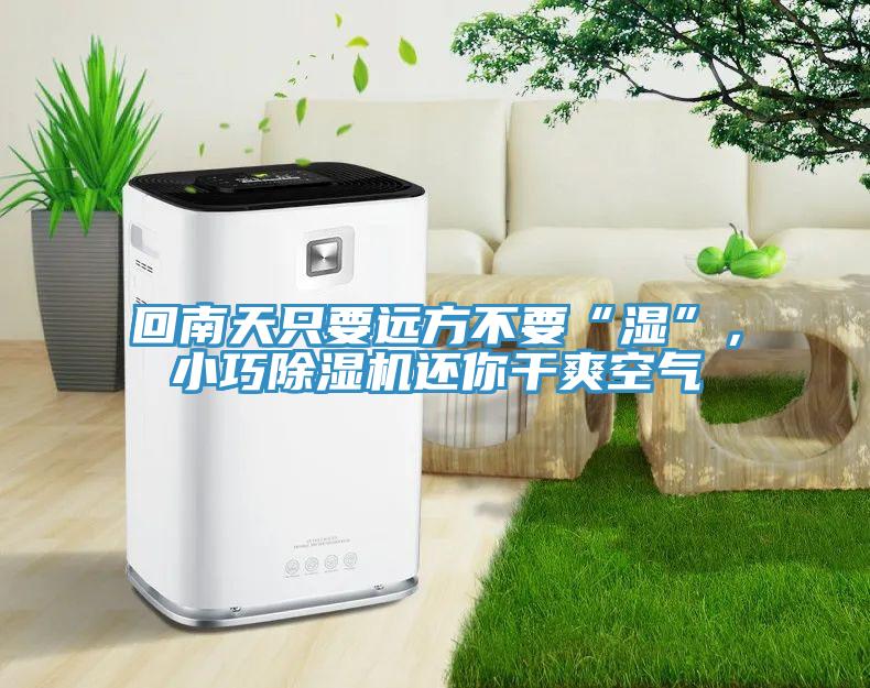 回南天只要遠(yuǎn)方不要“濕”，小巧除濕機(jī)還你干爽空氣
