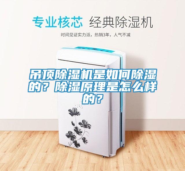 吊頂除濕機是如何除濕的？除濕原理是怎么樣的？