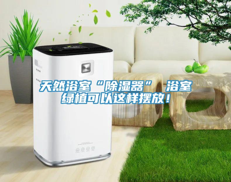 天然浴室“除濕器” 浴室綠植可以這樣擺放！