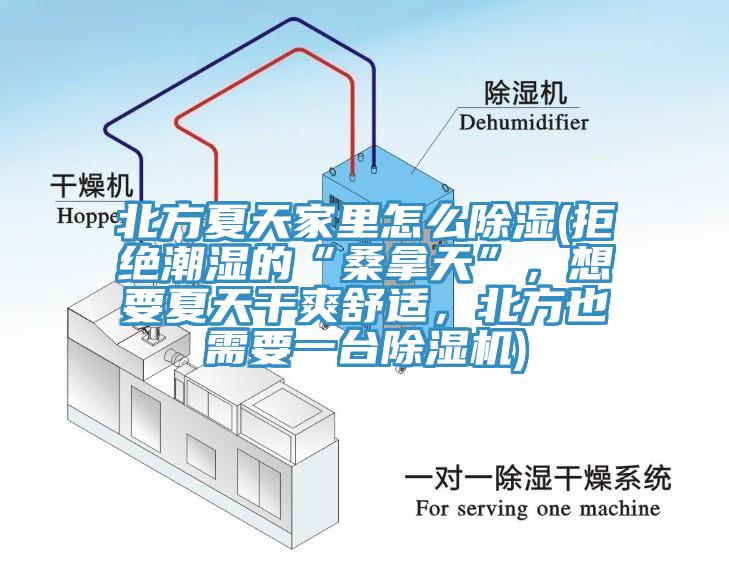 北方夏天家里怎么除濕(拒絕潮濕的“桑拿天”，想要夏天干爽舒適，北方也需要一臺除濕機)
