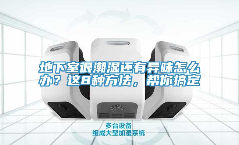 地下室很潮濕還有異味怎么辦？這8種方法，幫你搞定