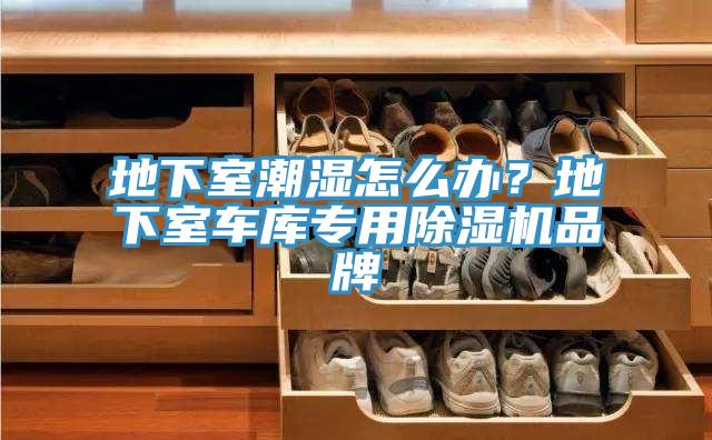 地下室潮濕怎么辦？地下室車庫專用除濕機(jī)品牌