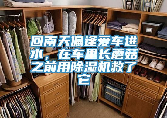 回南天偏逢愛車進(jìn)水，在車?yán)镩L(zhǎng)蘑菇之前用除濕機(jī)救了它