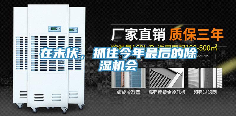 在末伏，抓住今年最后的除濕機(jī)會