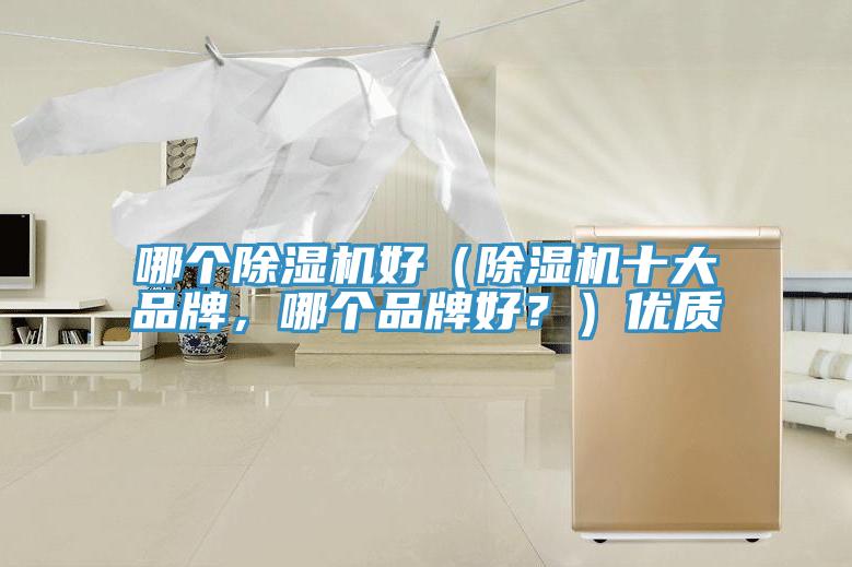 哪個(gè)除濕機(jī)好（除濕機(jī)十大品牌，哪個(gè)品牌好？）優(yōu)質(zhì)