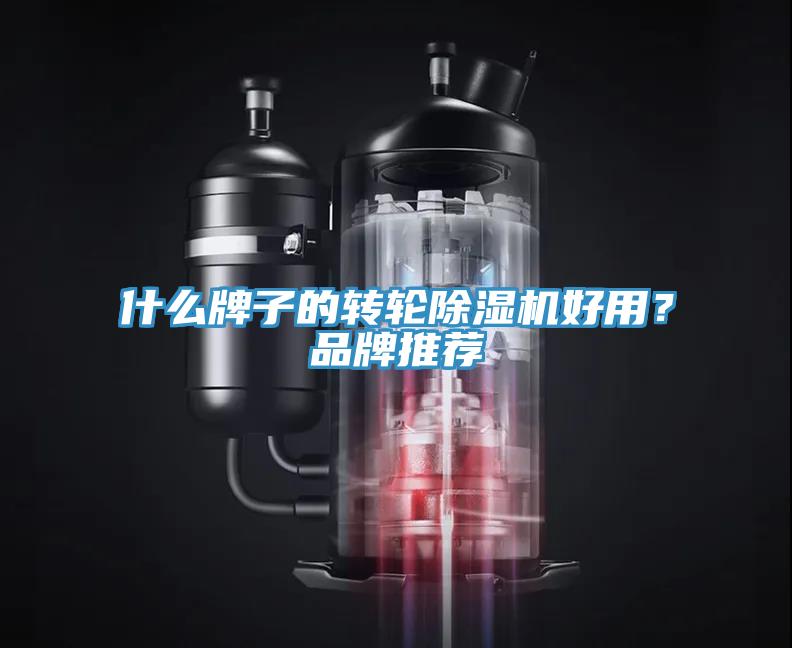 什么牌子的轉(zhuǎn)輪除濕機(jī)好用？品牌推薦
