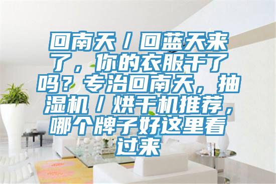 回南天／回藍天來了，你的衣服干了嗎？專治回南天，抽濕機／烘干機推薦，哪個牌子好這里看過來