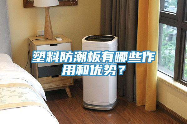 塑料防潮板有哪些作用和優(yōu)勢(shì)？