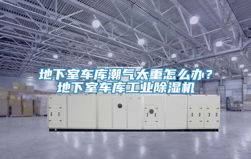地下室車庫(kù)潮氣太重怎么辦？地下室車庫(kù)工業(yè)除濕機(jī)