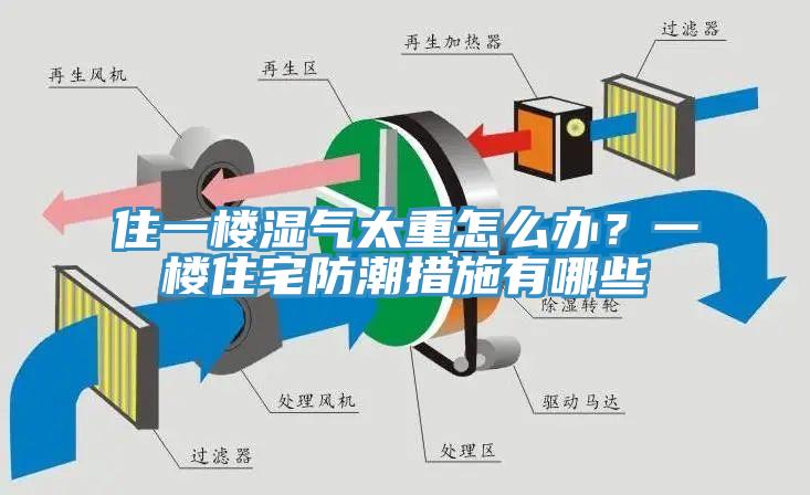 住一樓濕氣太重怎么辦？一樓住宅防潮措施有哪些