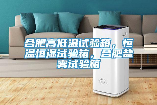 合肥高低溫試驗(yàn)箱，恒溫恒濕試驗(yàn)箱，合肥鹽霧試驗(yàn)箱
