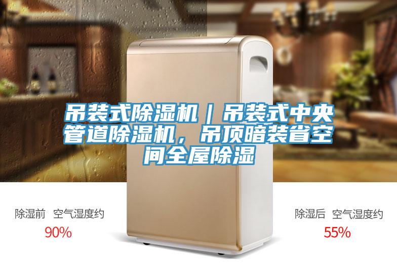 吊裝式除濕機(jī)｜吊裝式中央管道除濕機(jī)，吊頂暗裝省空間全屋除濕
