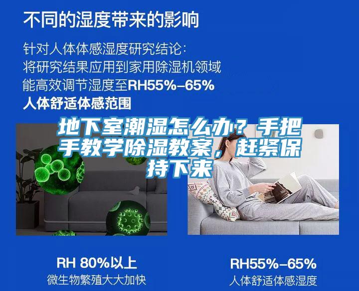 地下室潮濕怎么辦？手把手教學(xué)除濕教案，趕緊保持下來
