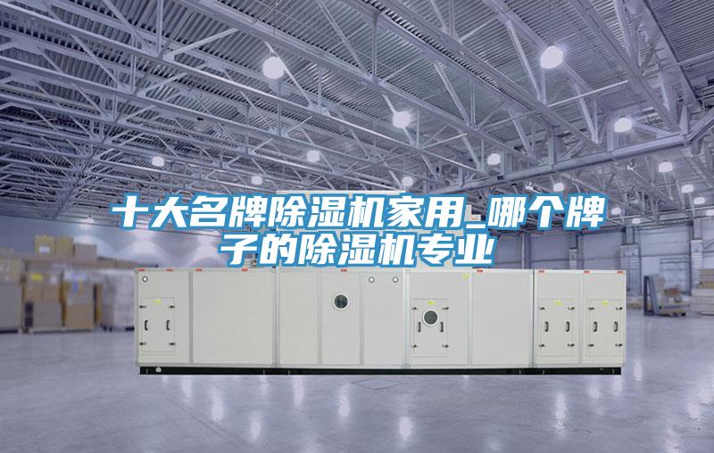 十大名牌除濕機(jī)家用_哪個(gè)牌子的除濕機(jī)專(zhuān)業(yè)