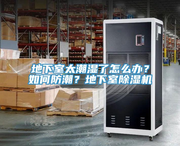 地下室太潮濕了怎么辦？如何防潮？地下室除濕機