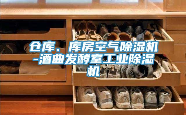倉庫、庫房空氣除濕機-酒曲發(fā)酵室工業(yè)除濕機
