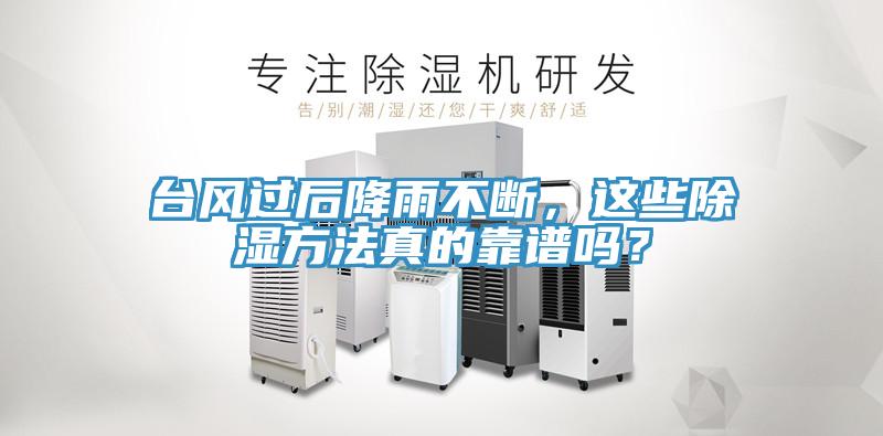 臺(tái)風(fēng)過(guò)后降雨不斷，這些除濕方法真的靠譜嗎？