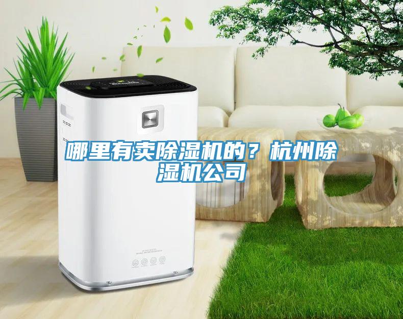 哪里有賣除濕機(jī)的？杭州除濕機(jī)公司