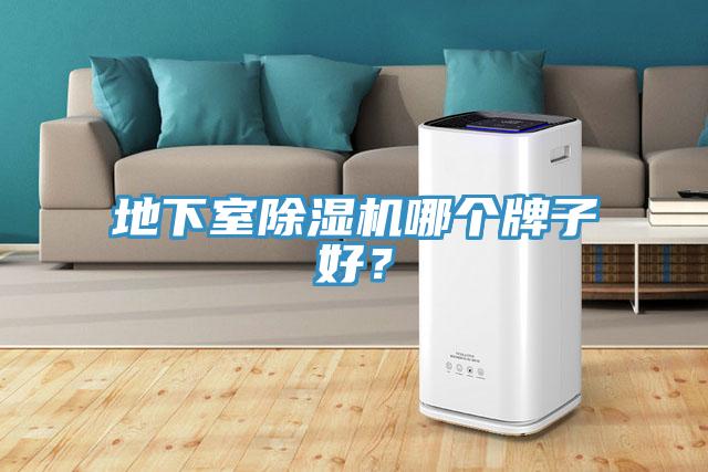 地下室除濕機(jī)哪個(gè)牌子好？