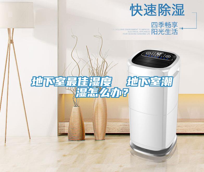地下室最佳濕度  地下室潮濕怎么辦？