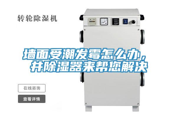 墻面受潮發(fā)霉怎么辦，東井除濕器來幫您解決