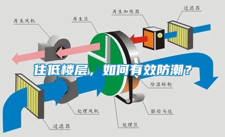 住低樓層，如何有效防潮？
