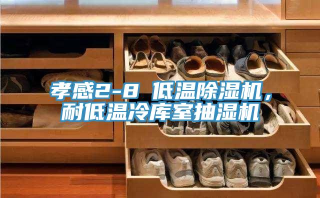 孝感2-8℃低溫除濕機(jī)，耐低溫冷庫室抽濕機(jī)