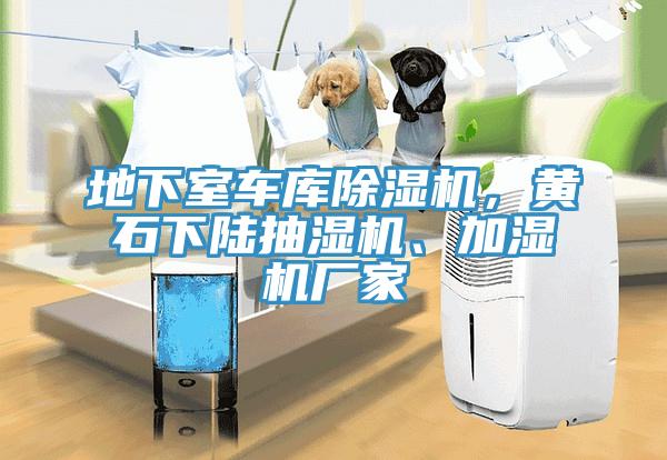 地下室車庫除濕機，黃石下陸抽濕機、加濕機廠家
