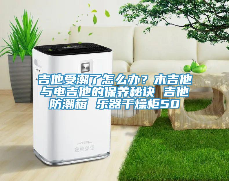 吉他受潮了怎么辦？木吉他與電吉他的保養(yǎng)秘訣 吉他防潮箱 樂器干燥柜50