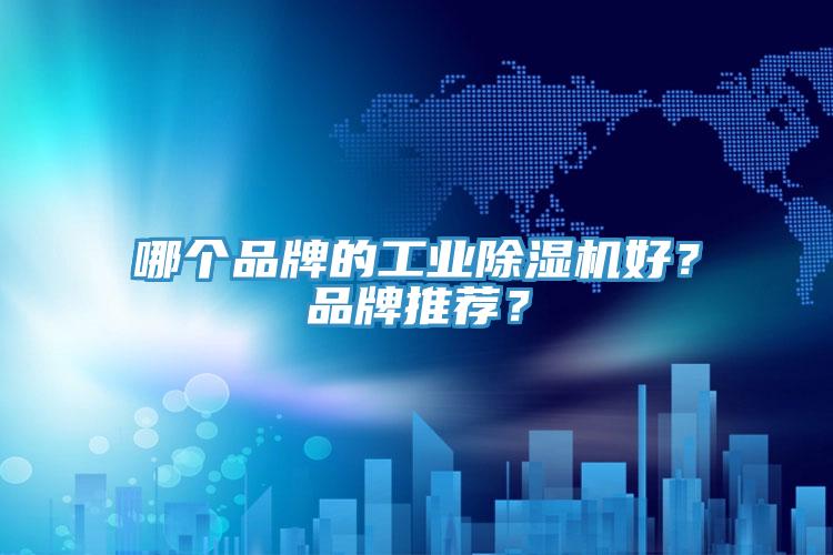 哪個(gè)品牌的工業(yè)除濕機(jī)好？品牌推薦？