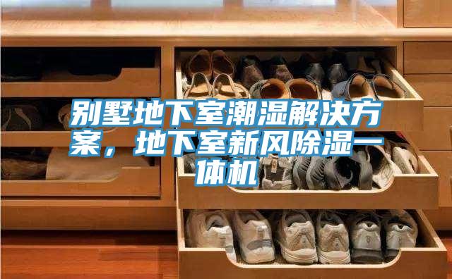 別墅地下室潮濕解決方案，地下室新風(fēng)除濕一體機(jī)