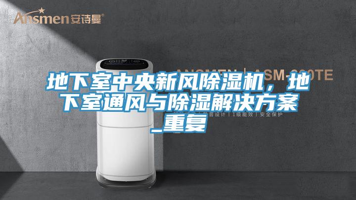 地下室中央新風(fēng)除濕機(jī)，地下室通風(fēng)與除濕解決方案_重復(fù)