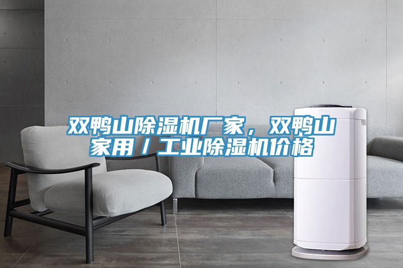 雙鴨山除濕機(jī)廠家，雙鴨山家用／工業(yè)除濕機(jī)價(jià)格