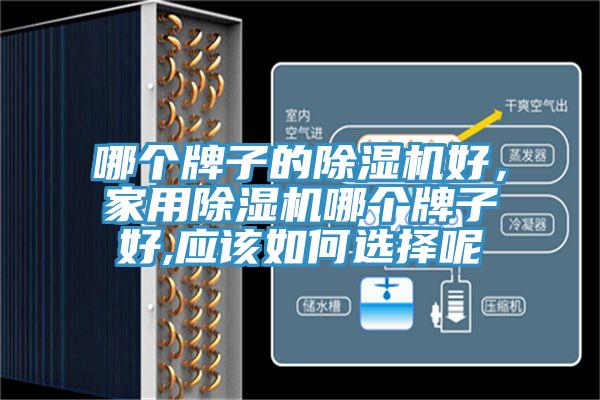 哪個(gè)牌子的除濕機(jī)好，家用除濕機(jī)哪個(gè)牌子好,應(yīng)該如何選擇呢