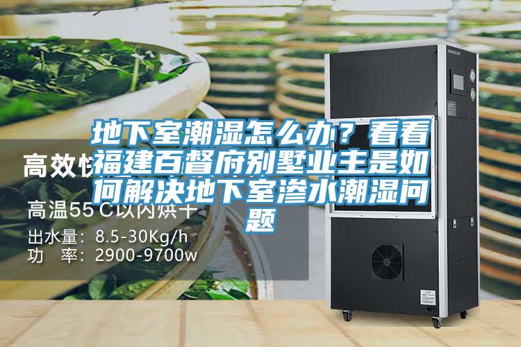 地下室潮濕怎么辦？看看福建百督府別墅業(yè)主是如何解決地下室滲水潮濕問題