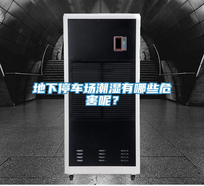地下停車(chē)場(chǎng)潮濕有哪些危害呢？