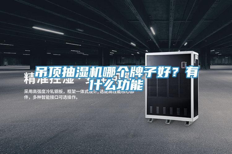 吊頂抽濕機哪個牌子好？有什么功能