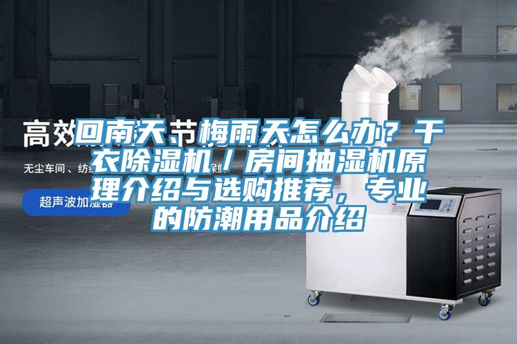 回南天、梅雨天怎么辦？干衣除濕機(jī)／房間抽濕機(jī)原理介紹與選購(gòu)?fù)扑]，專業(yè)的防潮用品介紹