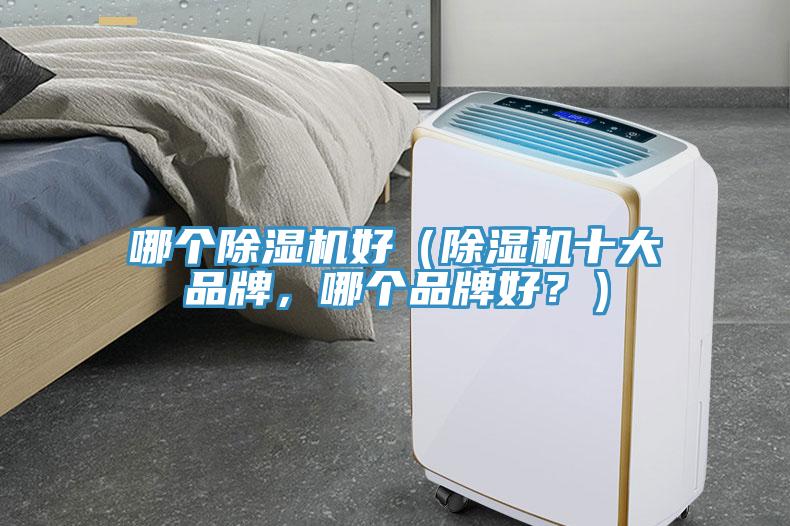 哪個(gè)除濕機(jī)好（除濕機(jī)十大品牌，哪個(gè)品牌好？）