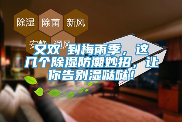 又雙叒到梅雨季，這幾個除濕防潮妙招，讓你告別濕噠噠！