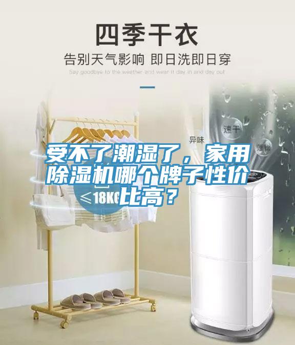 受不了潮濕了，家用除濕機哪個牌子性價比高？