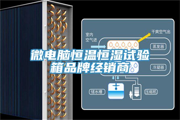 微電腦恒溫恒濕試驗(yàn)箱品牌經(jīng)銷(xiāo)商