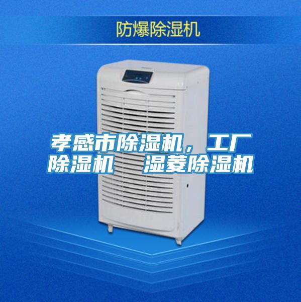 孝感市除濕機(jī)，工廠除濕機(jī)  濕菱除濕機(jī)