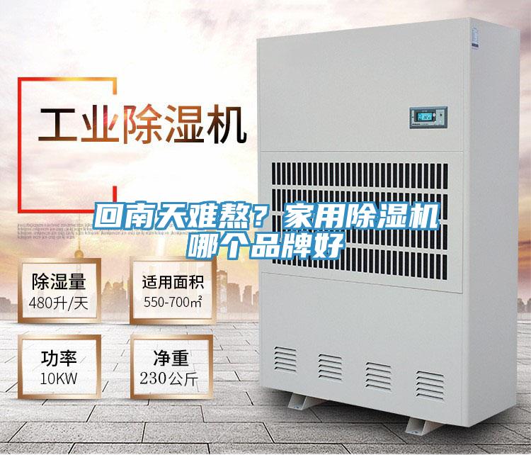 回南天難熬？家用除濕機(jī)哪個(gè)品牌好