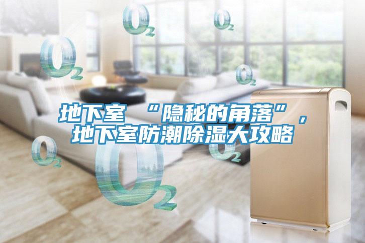 地下室≠“隱秘的角落”，地下室防潮除濕大攻略