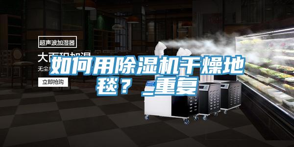 如何用除濕機干燥地毯？_重復